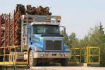 Log Truck Insurance Juneau, Ketchikan, All of Alaska