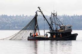 Fishing Boat Insurance Juneau, Ketchikan,  All of Alaska